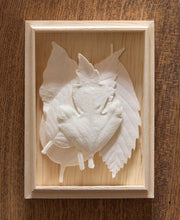 Load image into Gallery viewer, HA KO 01 / Box set of 5 - HA KO