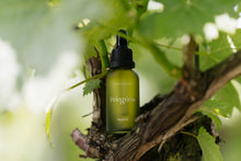 Load image into Gallery viewer, pelegrims facial oil 03