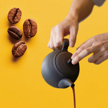Load image into Gallery viewer, Tokoname coffee & tea pot