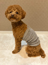 Load image into Gallery viewer, Belly Band for Dogs / Brown - Yu-ito