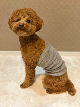 Load image into Gallery viewer, Belly Band for Dogs / Pink - Yu-ito