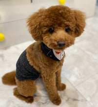 Load image into Gallery viewer, Belly Band for Dogs / Ecru - Yu-ito