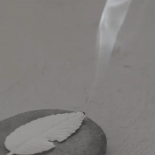 Load image into Gallery viewer, HA KO