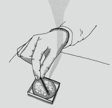 Load image into Gallery viewer, 10 MINUTES AROMA / Yuzu - hibi