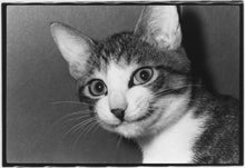 Load image into Gallery viewer, Afterword - Masahisa Fukase - 1st Edition