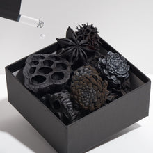 Load image into Gallery viewer, HANASUMI(花炭) - BLACK LETTERS