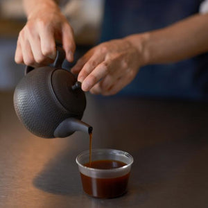 Tokoname coffee & tea pot