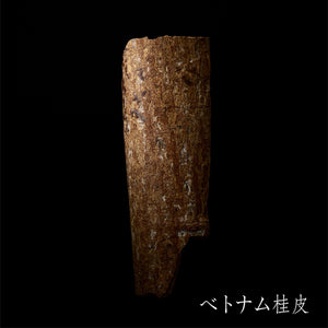 No21 cinnamon_02