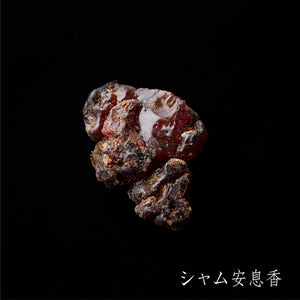 No32 benzoin_02