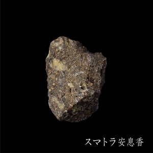 No32 benzoin_03