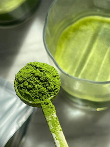 Matcha Measuring Spoon - SAYURI
