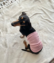 Load image into Gallery viewer, Belly Band for Dogs / Pink - Yu-ito