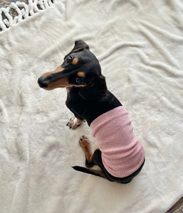 Belly Band for Dogs / Pink - Yu-ito